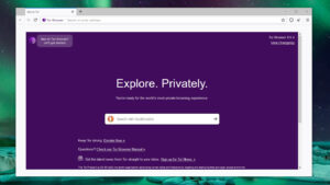 Tor-Browser-windows-download-free